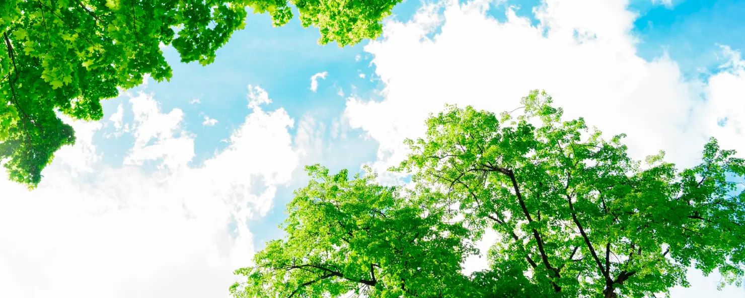 環境活動レポート